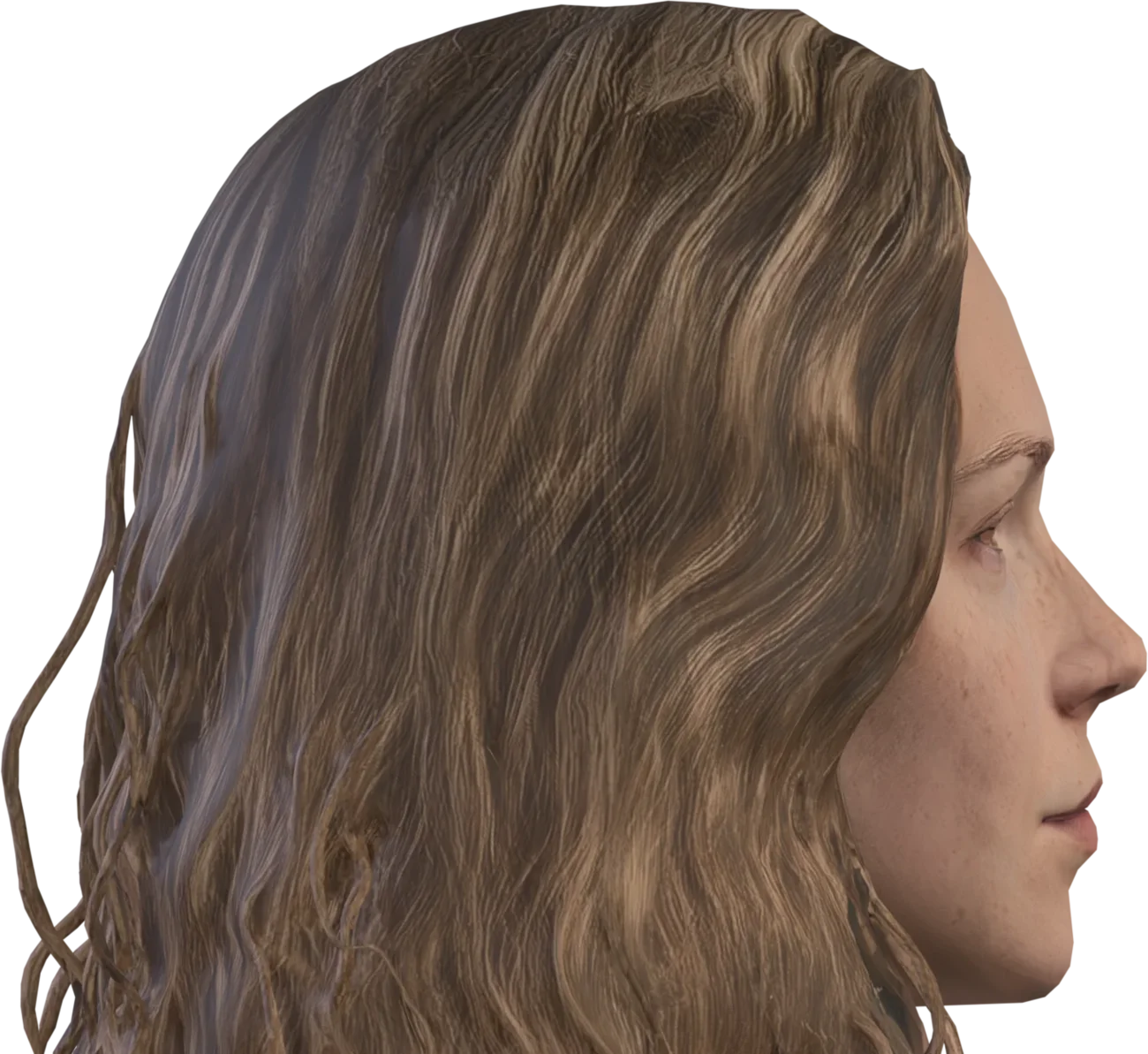 Nova's avatar in profile, facing right